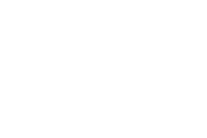 ducati-w