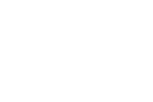 supsi-w